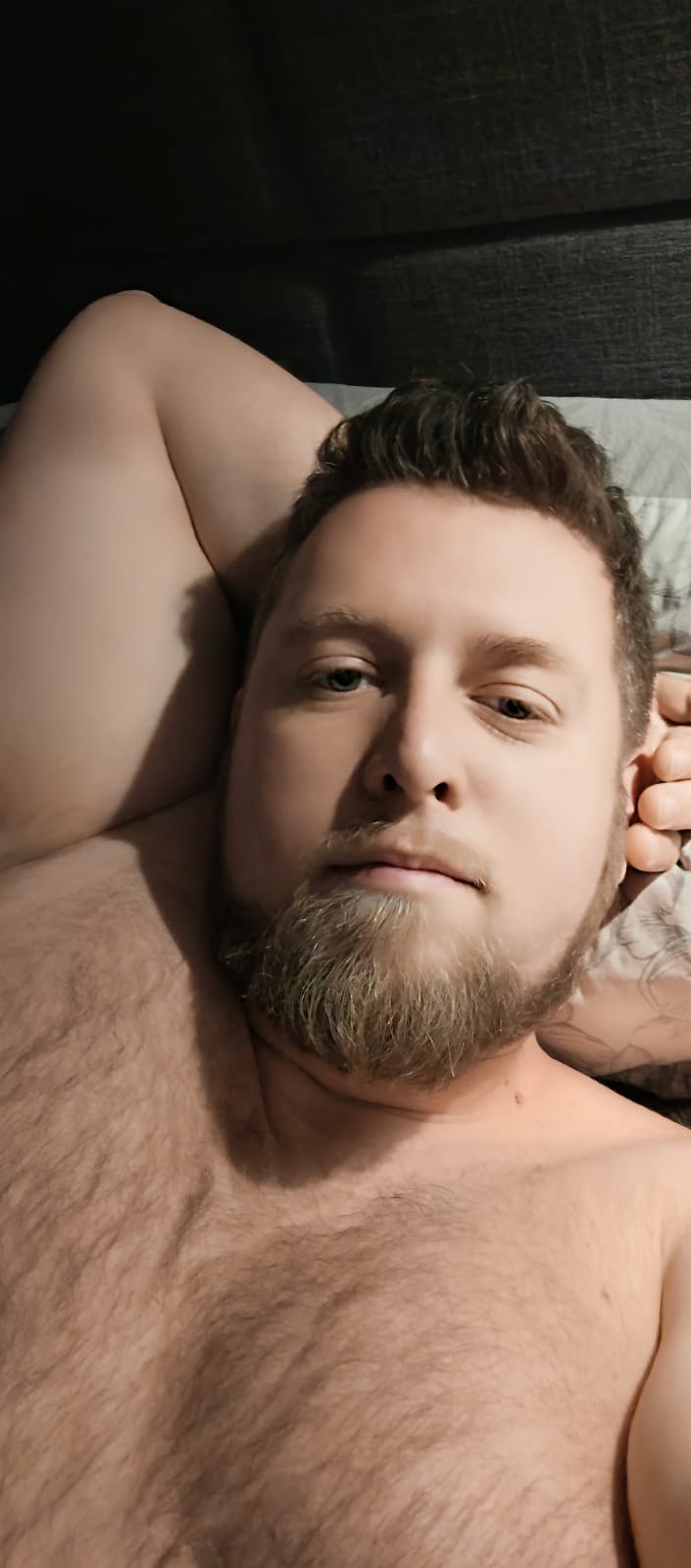Profil de Irfan, 37 ans, TS Luxembourg à Liefrange